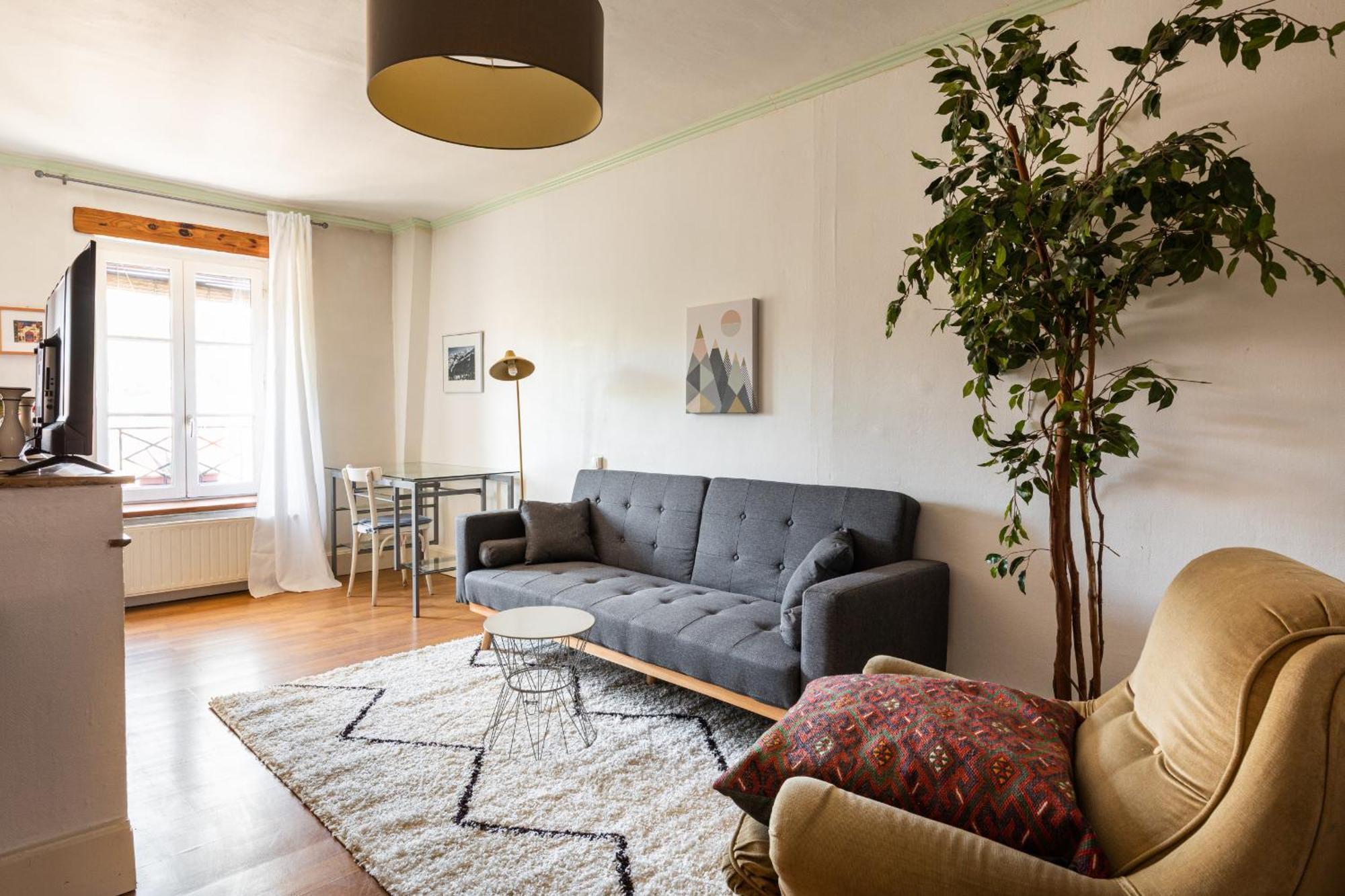 Dify Adelaide Perrin - Ainay Lägenhet Lyon Exteriör bild